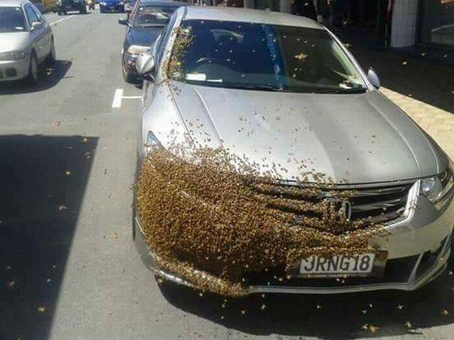Content Image