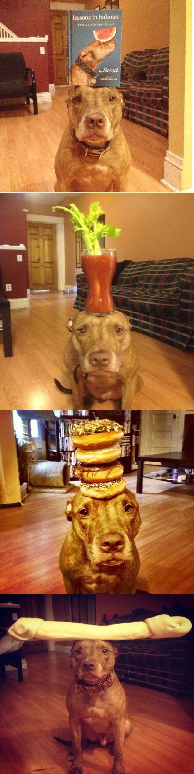 Morning Picdump