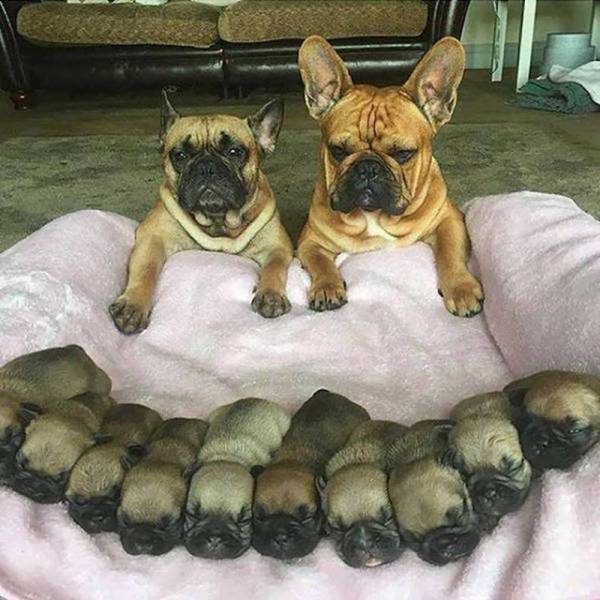 Daily Picdump