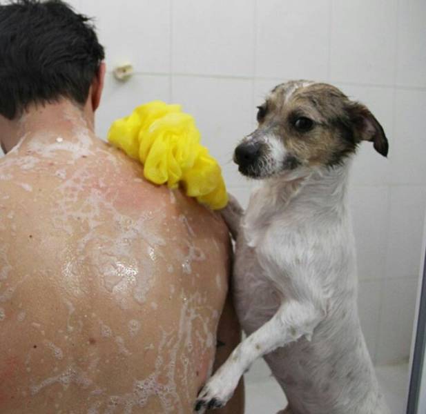 Morning Picdump