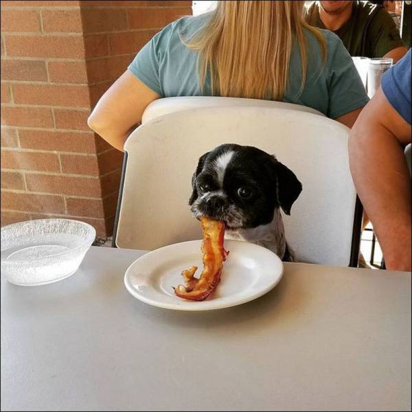 Daily Picdump