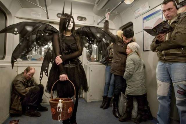 Daily Picdump