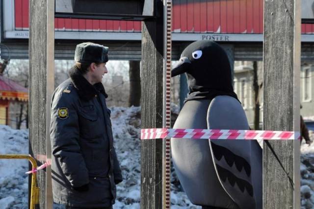 Content Image