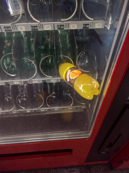 Morning Picdump