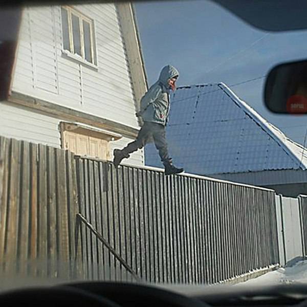 Morning Picdump