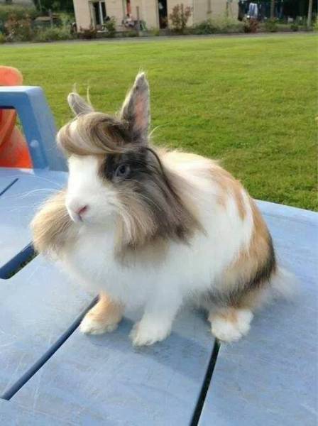 Daily Picdump [WEEKEND EDITION]