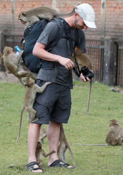 Daily Picdump