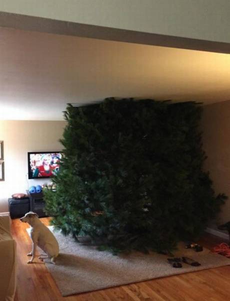 Daily Picdump