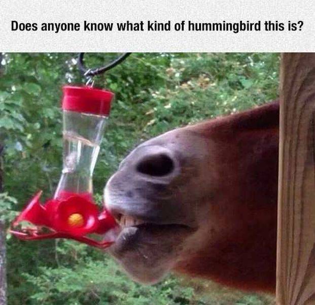 Daily Picdump