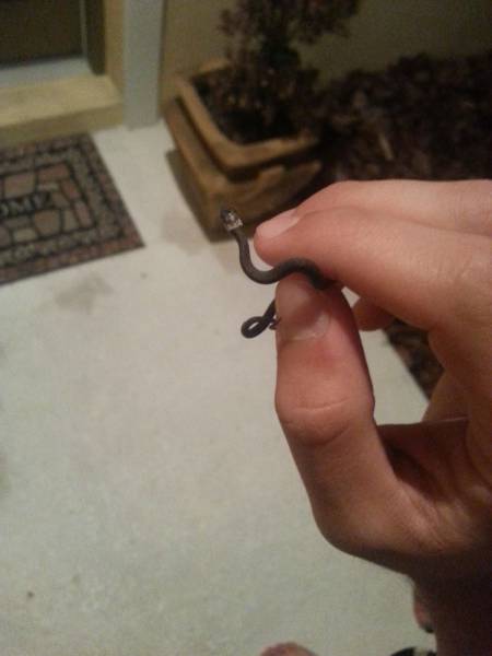 Daily Picdump