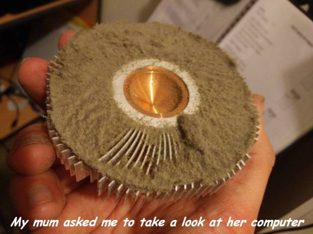 Daily Picdump