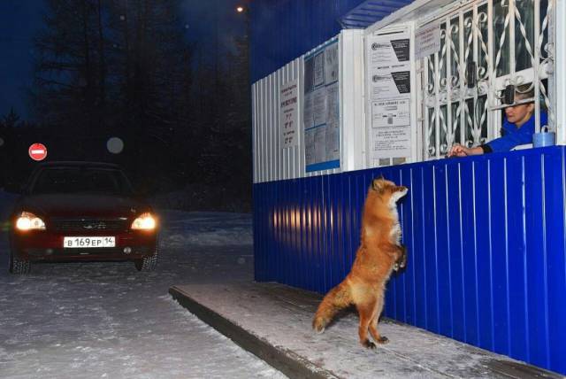 Daily Picdump