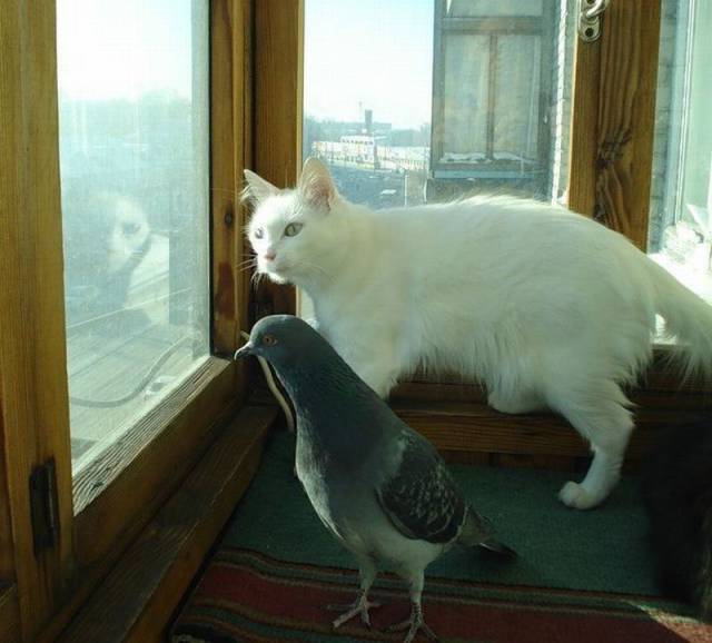 Daily Picdump