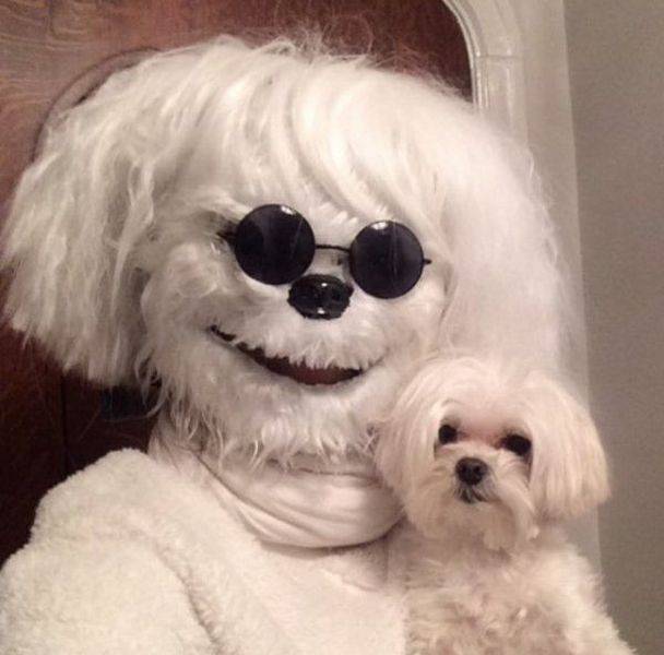 Content Image