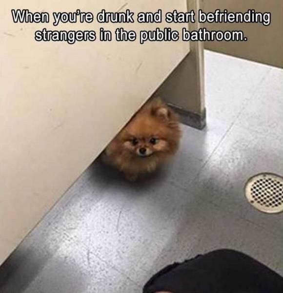 Content Image