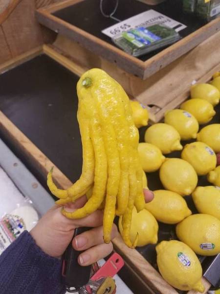 Content Image
