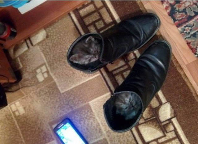 Morning Picdump