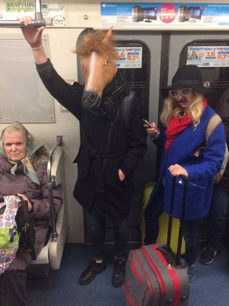 Morning Picdump