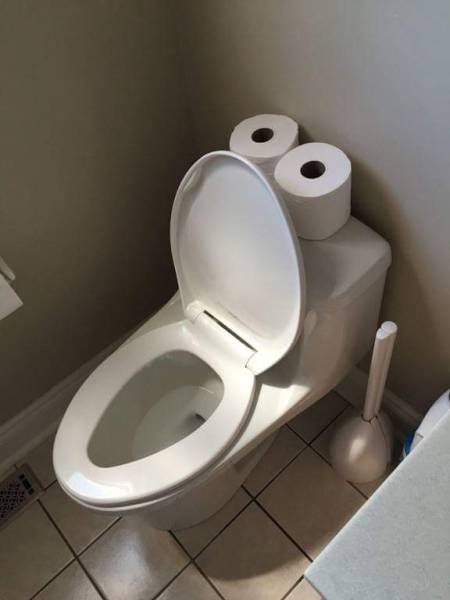 Morning Picdump