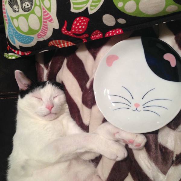 Morning Picdump
