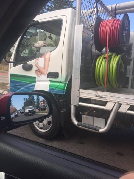 Morning Picdump