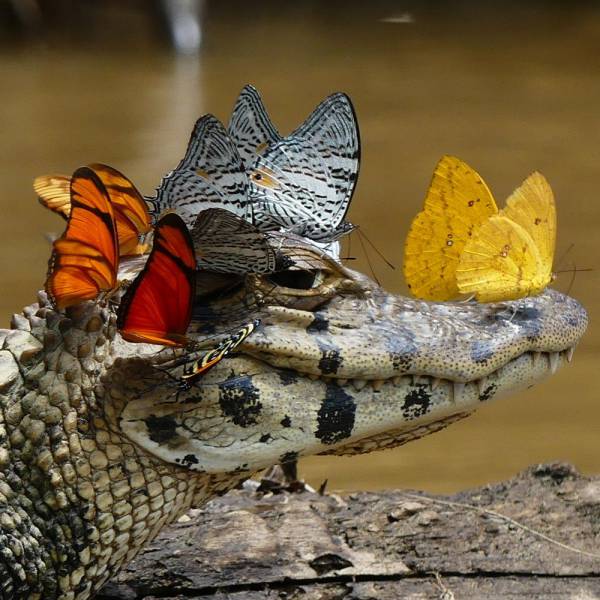 Daily Picdump [WEEKEND EDITION]