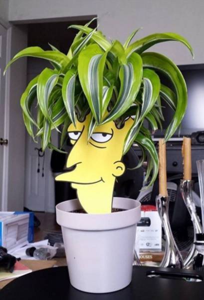 Content Image