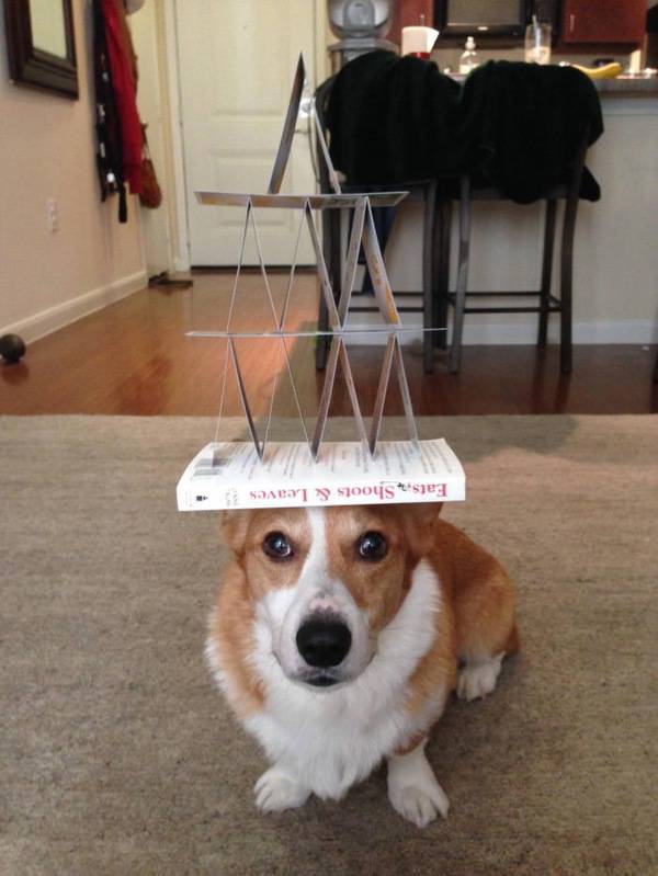 Morning Picdump