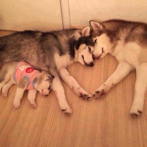 Daily Picdump