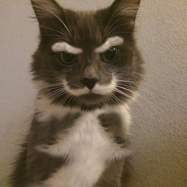 Daily Picdump
