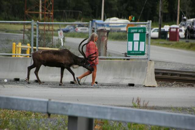 Daily Picdump