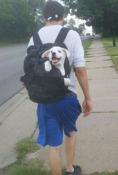 Daily Picdump