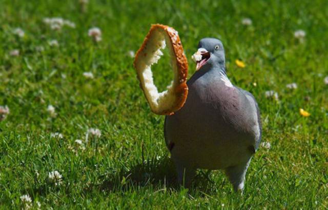 Daily Picdump