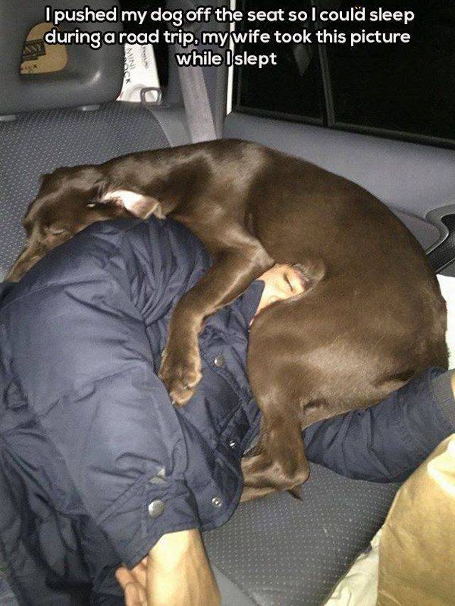 Content Image