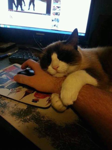 Morning Picdump