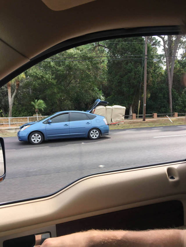 Morning Picdump