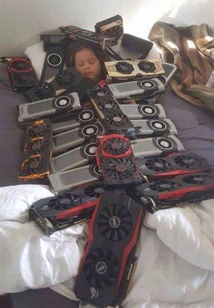 Daily Picdump