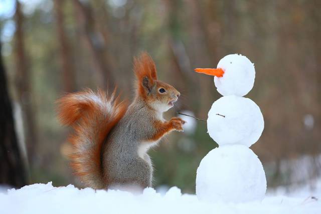 Daily Picdump
