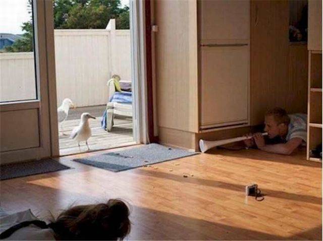 Content Image