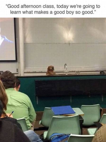 Daily Picdump