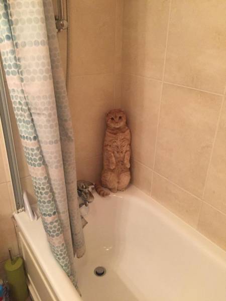 Daily Picdump