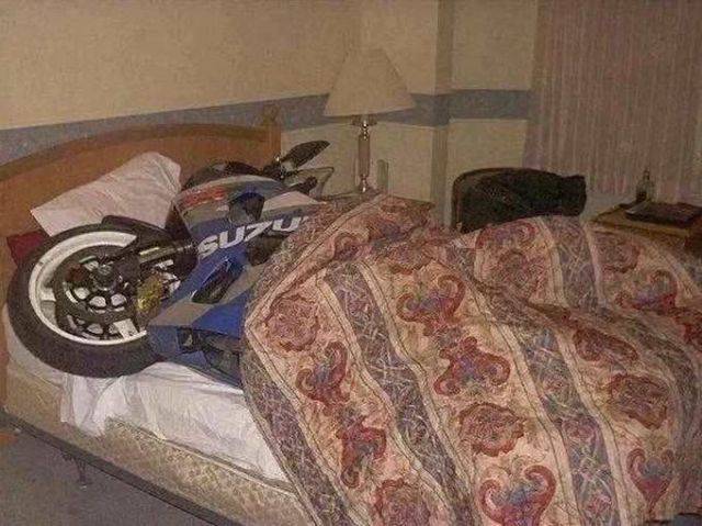 Daily Picdump