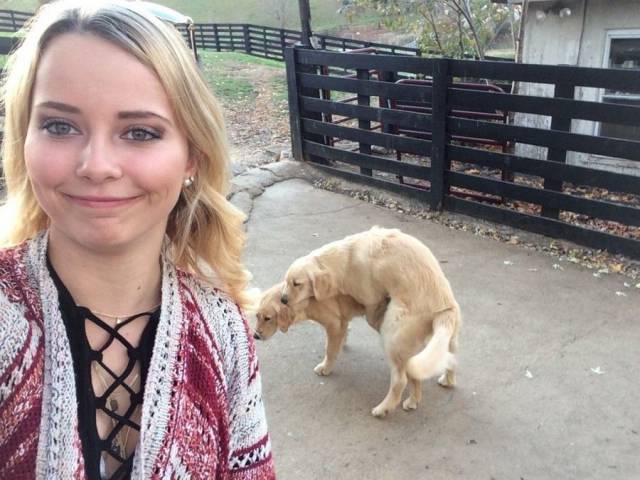 Daily Picdump