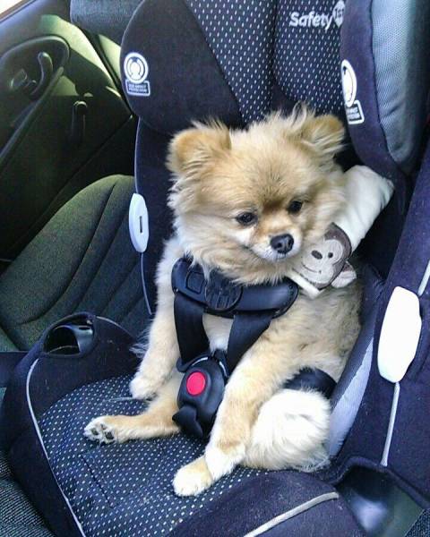 Daily Picdump
