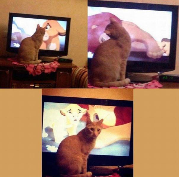 Daily Picdump