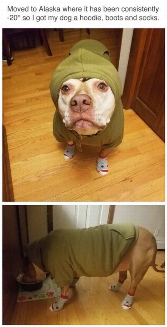 Content Image