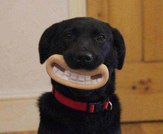 Content Image