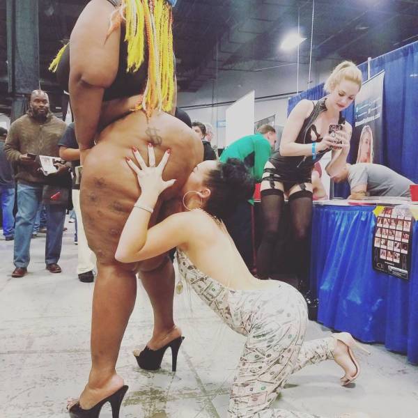 Content Image
