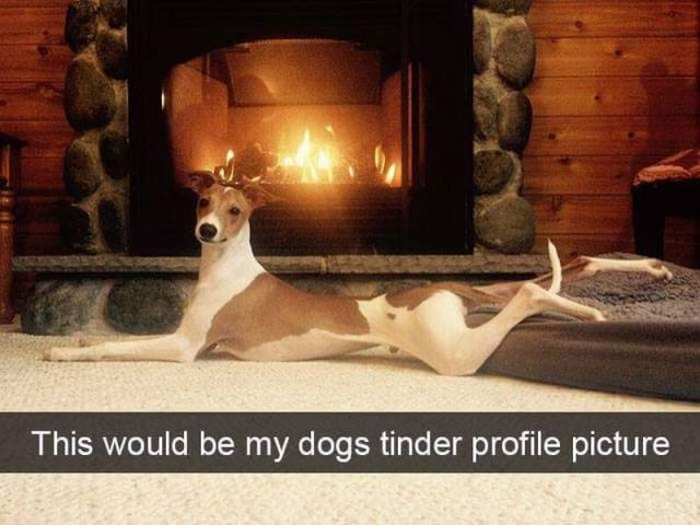 Content Image