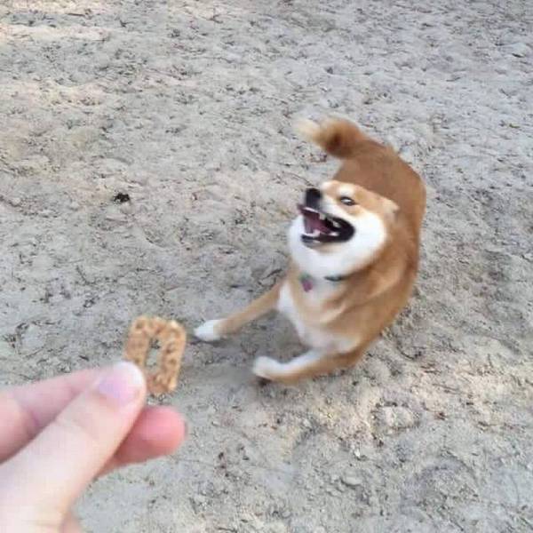 Content Image